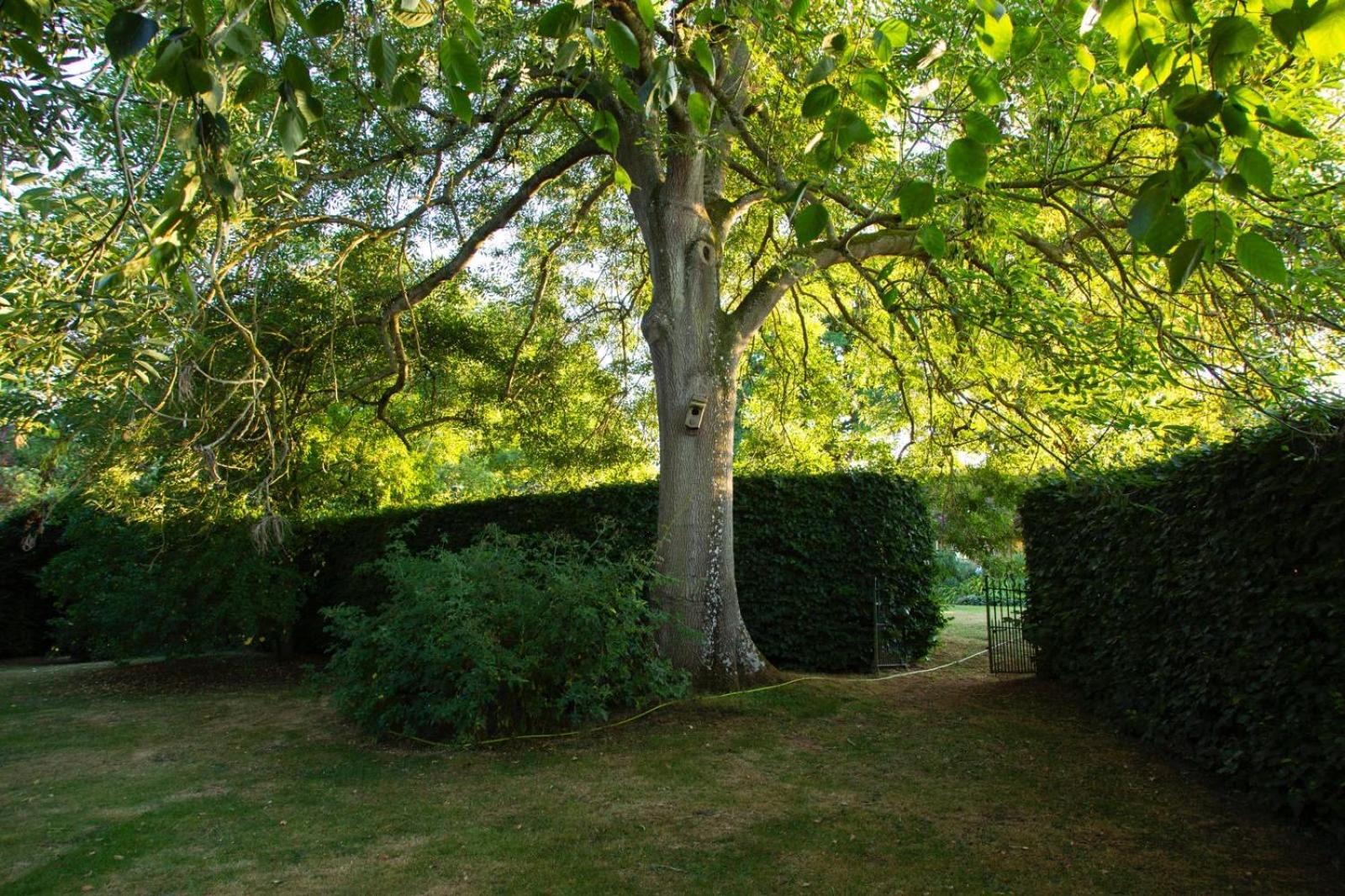 Ebony Cottage Tenbury Exterior photo